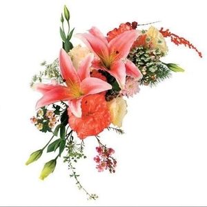 Meet your Posher, Samina